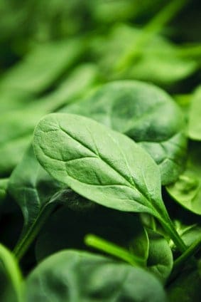 spinach leaves - a source of vitamin K