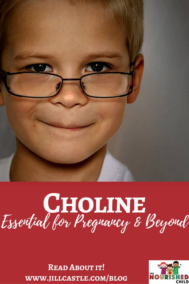 Choline for Families An Essential Nutrient The Nourished Child MS, RD