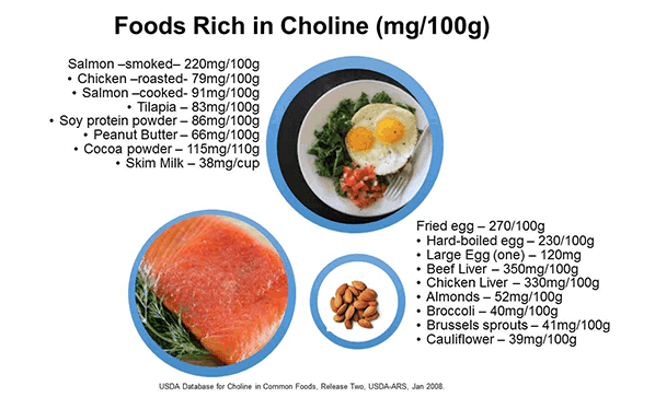 Choline-containing foods