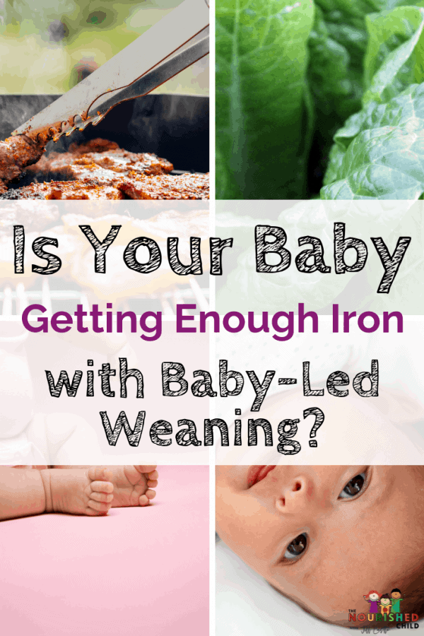 Getting Enough Iron with Baby Led Weaning
