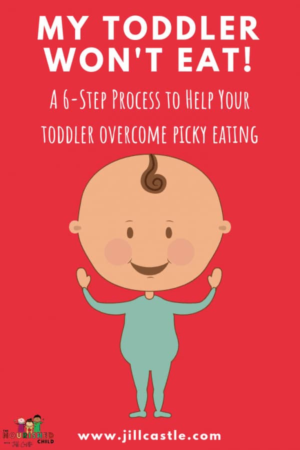 My Toddler Won't Eat! A 6-Step Guide to Help