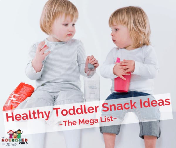 healthy Toddler Snack Ideas Mega List