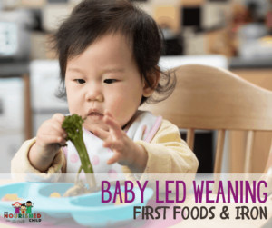 Baby-Led Weaning First Foods & Iron