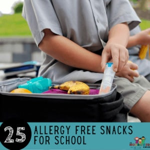 25 Allergy Free Snacks for School