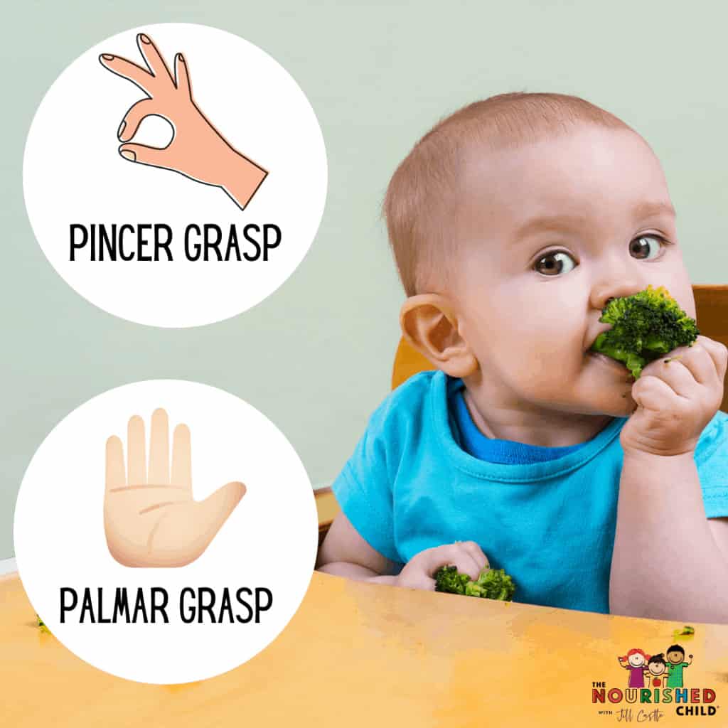 Baby self-feeding with pincer and palmar grasp