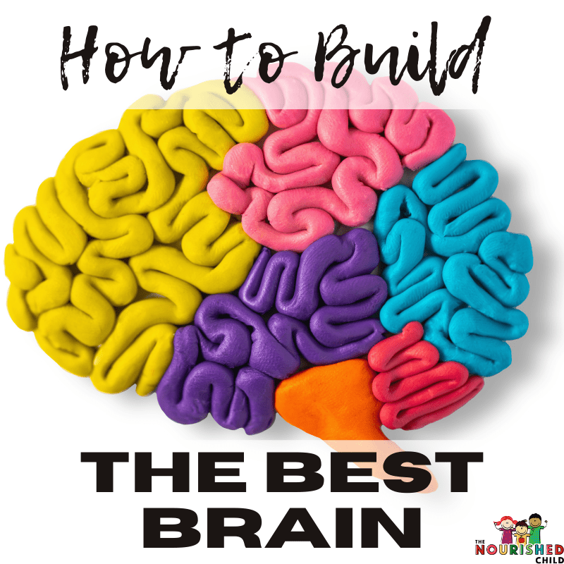 How to Build the Best Brain in Childhood - A Quick Guide to Nutrition and Nutrients
