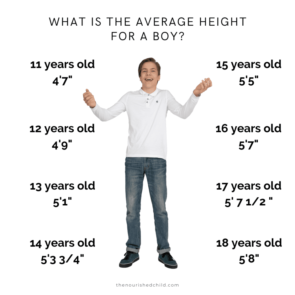 What is the average height for a boy? Based on the CDC growth charts for boys.