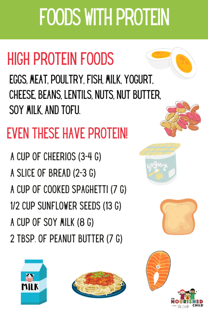 Foods with protein for kids