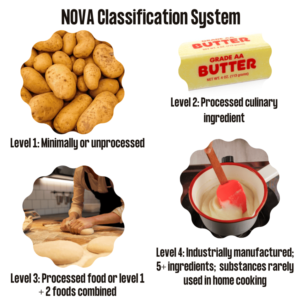 NOVA Classification System and food examples