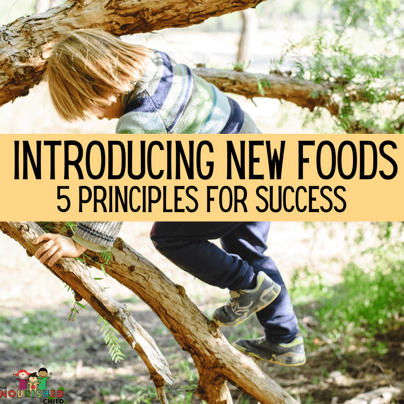 principles for introducing new foods to children