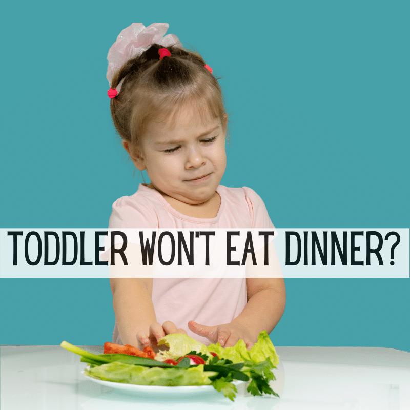 toddler won't eat dinner